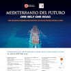 The Mediterranean of the Future