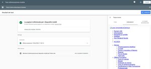 validazione Google-mobile pagina Ateneo