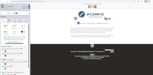 validazione webAIM pagina Login