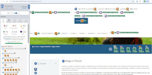 validazione Wave pagina Stage e Tirocini